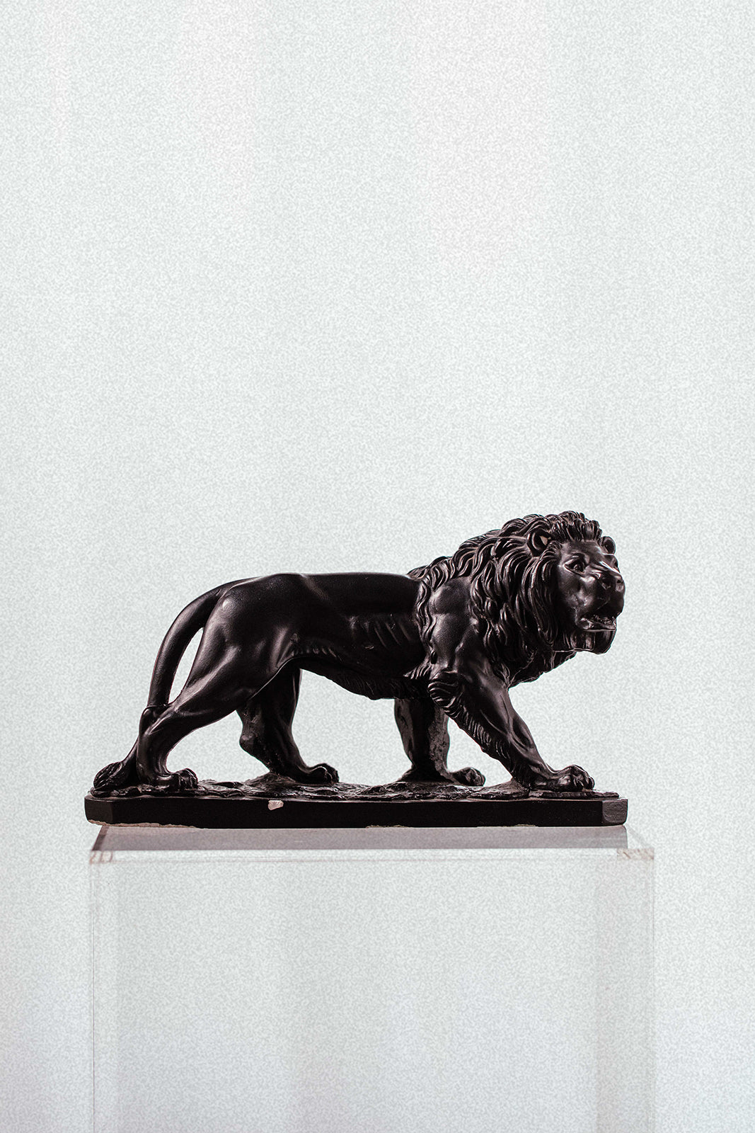 Black Italian Ceramic Lion